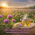 4 oz (113g) 100% Cardo Mariano Mexican Herbal Tea - - Authentic Natural Milk Thistle Loose Leaf Tea - Wildcrafted