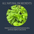 15 Count (Pack 1) Rishi Tea Valerian Dream Herbal Tea - Organic Sachet Tea Bags, Sleep Friendly, Caffeine Free, Calming