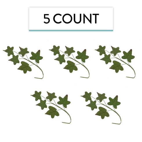 5 5 Global Sugar Art Ivy Leaf Sugar Cake Flowers Spray, Green with Red Tips, Sprays of leaves by Chef Alan Tetreault