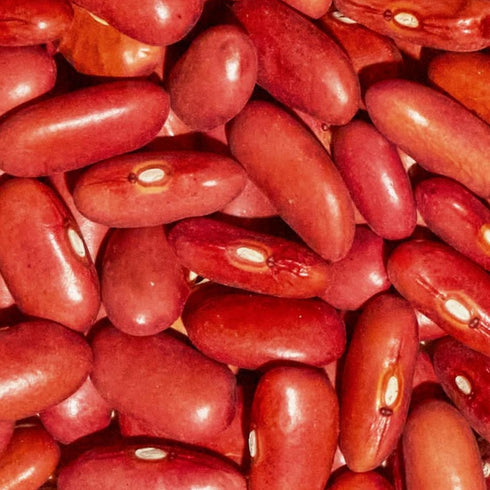 Immune (4 Pack, 12 oz SIMPLi Regenerative Organic Certified Kidney Beans, Organic Red Kidney Beans High in Fiber
