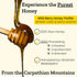 100% 908g Carpathian Raw Honey Wild Berry | Pure, Unfiltered, Unpasteurized, Ethically Sourced | Glass Jar