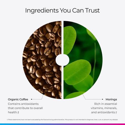 20 12 oz Livingood Daily Coffee with Moringa, Ground Medium Roast Coffee with Plant Based Ingredients for Morning