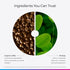 20 12 oz Livingood Daily Coffee with Moringa, Ground Medium Roast Coffee with Plant Based Ingredients for Morning