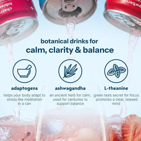 0 0 12 Pack 11.5 oz Moment Mocktails Non-Alcoholic Drinks (Shark Tank) - Calm, Clarity & Relaxation with L-Theanine