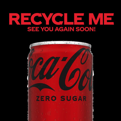10 Pack Coca-Cola Coke Zero Sugar Diet Soda