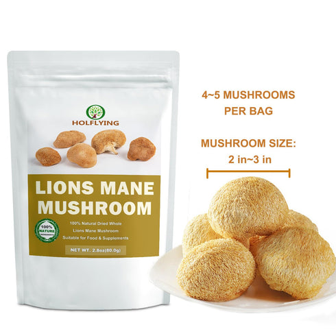 HOLFLYING 2.8 oz, Dried Whole Lion's Mane Mushroom - All-Natural Lion's Mane for Cooking, Soup, Tea and Vegan Recipes