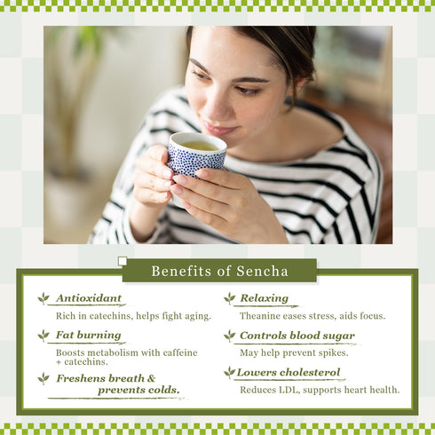 80g Sencha Green Tea Organic Japanese Green Tea Loose Leaf, Organic Loose Leaf by HAJIME
