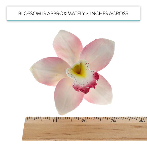 3 Count Global Sugar Art Cymbidium Orchid Sugar Cake Flowers, Pink, by Chef Alan Tetreault