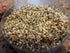Microgreens,16 packed Mung Bean Seeds for Sprouting ounces, A superfood with antioxidants and health-promoting