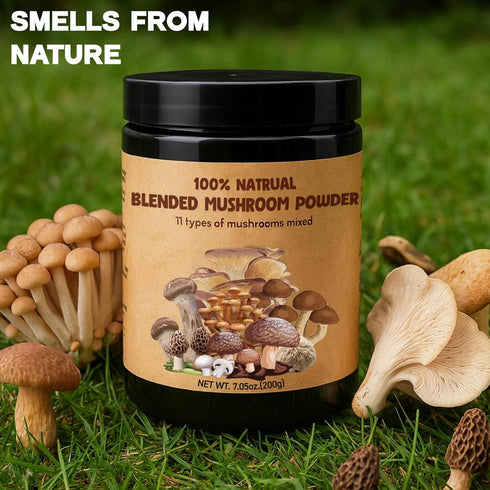 Egcina 7.05oz 11 100% Dried Mixed Mushroom Powder - Variety Chef's Blend for Coffee, Cooking, Ramen, Sauces & Soup
