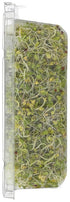 HIPFATE 3 OZ FULLEI Broccoli Deli Sprouts