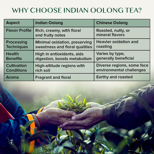 (50+ 3.53oz) VAHDAM, High Mountain Oolong Tea Leaves From Himalayas Cups, Strong & Robust Oolong Tea | High Elevation