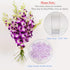 10 Athenas Garden Fresh Cut Orchids Purple Stems Sonia Dendrobium Orchids Flowers with Vase and Rocks