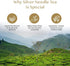 VAHDAM Silver Pine Needle White Tea Loose Leaf, 50g, Caffeine Free, Gluten Free
