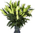 10 stems giant white lilies Fresh Flower Bouquet Gifts for Birthday Anniversary Friendship and Love
