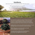 2.82oz, Pyeongchang Gondre Namul Dried Vegatables for Namul Bap Bibimbap Soup with rich flavor, Korean Healthy Food