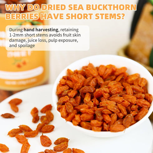 8.5 oz/240g Dried Sea Buckthorn Berries Premium Hand-Picked Whole Fruits Sea Buckthorn Tea No Additives,Tart & Tangy