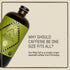 32 oz, 20+ Explorer Cold Brew Organic Liquid Coffee Concentrate, Classic Regular Caffeine, Drink Iced or Hot, fl Makes
