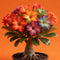 QYTGVSZ Mixed Desert Roses Succulent with Vibrant Trumpet Drought Tolerant Caudex Perfect for