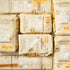 811 100% (1 Pastificio Bragagnolo, Linguine Bronze-Drawn, Italian Pasta, Made with Durum Wheat Semolina Flour, Non GMO