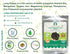 AYURVEDASHREE Whole Long Pepper, Best Indian Long Pepper (Pippali) 100 Gm Pack