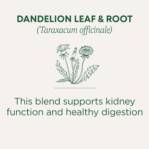 Traditional Medicinals Tea, Organic Dandelion Leaf & Root, 96 Tea Bags (6 Pack), Supports Kidney Function
