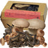 Smallhold Fresh Organic Umami Mushroom Pack 8oz | Locally Grown Gourmet Mushroom |