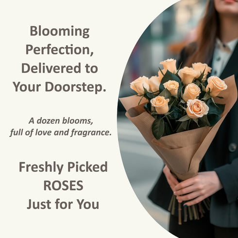 Generic Dozen 12 50CM One Fresh Roses Bouquet, Premium Long-Stem Ecuador Freedom Red Roses, Hand-Tied Floral