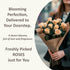 Generic Dozen 12 50CM One Fresh Roses Bouquet, Premium Long-Stem Ecuador Roses, Hand-Tied Floral Arrangement, Fresh Cut