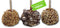 US Sweets Caramel Apple 3 Pack - Caramel Granny Smith Apples Rolled