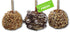 US Sweets Caramel Apple 3 Pack - Caramel Granny Smith Apples Rolled