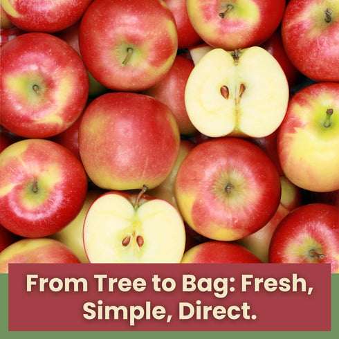1oz Packs 100% Wise Harvest Freeze-Dried FUJI Apples Five | Single Ingredient Snack | Real Fruit, No Sugar Added, Just