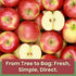 1oz Packs 100% Wise Harvest Freeze-Dried FUJI Apples Five | Single Ingredient Snack | Real Fruit, No Sugar Added, Just