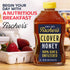 40 oz 100% Packed Fischer's Pure Clover Honey Pure, Raw and Unfiltered Honey in a Squeeze Bottle All-Natural Sweetener