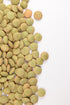 Hunza Natural Foods (2 lbs) Hunza Organic Green Lentils