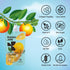 10-Pack Hethstia Konjac Noodle Variety & Orange Konjac Jelly Bundle, Low-Calorie Shirataki Pasta with Collagen Jelly