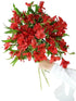 30 stem random mix Rainbow Alstroemeria Fresh Cut Flowers Gift for Home Birthday Anniversary Get Well Sympathy