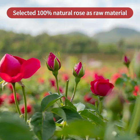 ANTAKUBU 50g/1.76oz 100% Dried Rose Buds, Rose Bud Tea, Natural Dried Flowers, Edible Fragrant Dried Flowers for Tea