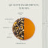 50 (100g/3.52oz), 100% Luxmi Estates - Mango Passionfruit Darjeeling Green Tea, Tea Bags biodegradable Teabags