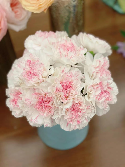 38 Fresh Cut Flowers Yukarri cherry Carnations Stems Hydroponic Flower Arrangement Gifts for home decoration birthdays