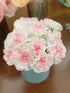 38 Fresh Cut Flowers Yukarri cherry Carnations Stems Hydroponic Flower Arrangement Gifts for home decoration birthdays