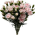 19 10 Stems Fresh Cut Mini Pink Spray Carnations Stems Multiple Blooms Per Stem Vibrant Pink Petite Flowers for Home