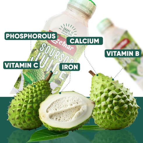 Rozemar 16 oz Pack 12 Soursop Juice | Tropical Soursop Beverage | Rich Flavor Superfruit Drink | fl Bottles |