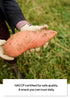 10.6 oz (300 Korean Food Eatus Sweet Potato Stick Crunchy Snack, Made with Real Sweet Potatoes, No Added Sugar