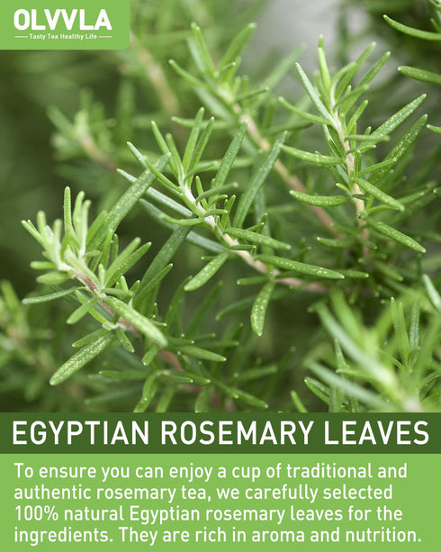 1.5g 60 Count Olvvla - Rosemary Tea Bags - X - Pure Natural Dried Rosemary Leaves - Cultivated in Egypt - Non-GMO