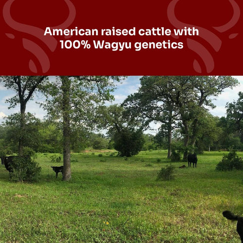 Wagyu Republic Beef Tallow ? Grass Fed, Great for Cooking Steak or as Tallow Balm, 28oz Jar