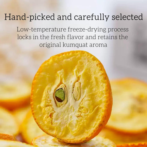 WXYTYSFA 3.17 oz/90 Dried kumquat slices, kumquats, fresh kumquats, citrus, great for cocktails and snacks or drink