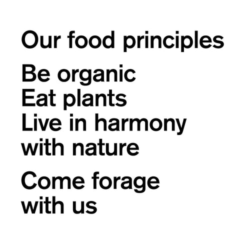 8 FORAGER PROJECT Organic Strawberry Cashew Drinkable Yogurt, FZ