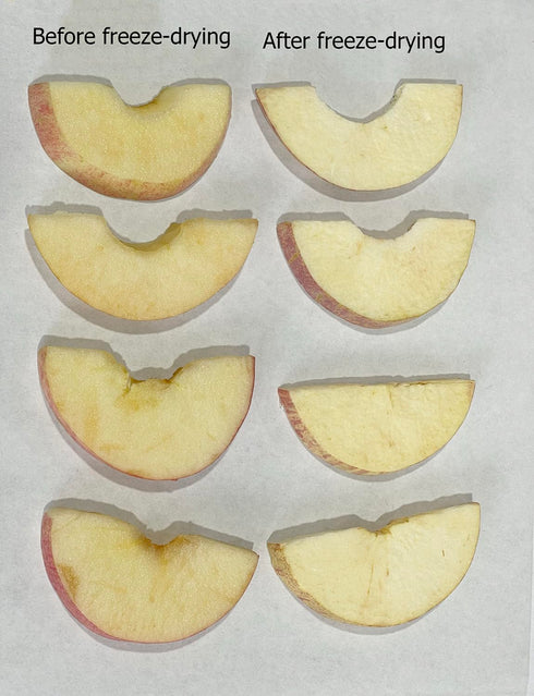 AFKCCPD 9.88 ounces/280 Freeze dried apple slices, grams, reusable sealed bag, low carbohydrate, used for snacks