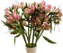 30 stem random mix Rainbow Alstroemeria Fresh Cut Flowers Gift for Home Birthday Anniversary Get Well Sympathy
